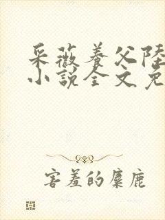 采薇养父陆三平小说全文免费阅读