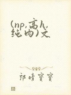 (np,高h,纯肉)文