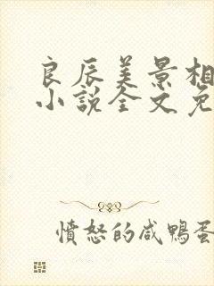 良辰美景相思处小说全文免费阅读