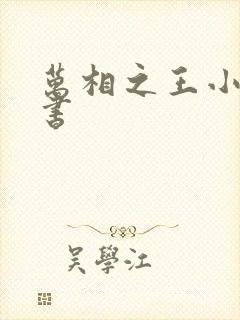 万相之王小说听书
