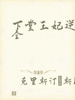 下堂王妃逆袭记全