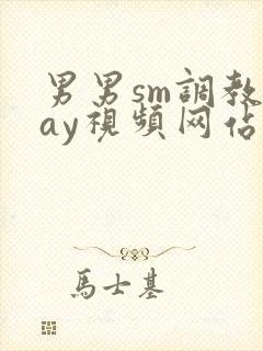 男男sm调教gay视频网站封面