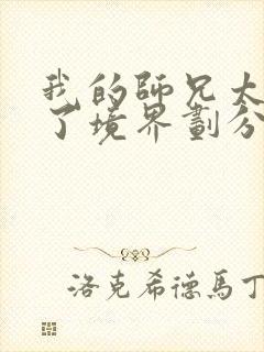 我的师兄太稳健了境界划分