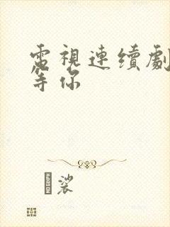 电视连续剧妈妈等你