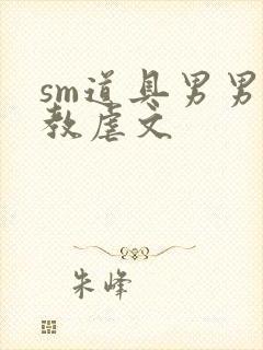 sm道具男男调教虐文