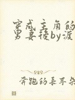 穿成主角的炮灰男妻后by渡