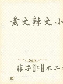 黄文辣文小说封面