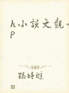 h小说文观看np