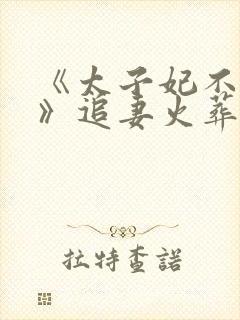 《太子妃不干了》追妻火葬场