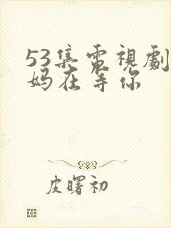 53集电视剧妈妈在等你