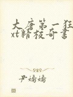 大唐第一狂徒txt精校奇书网