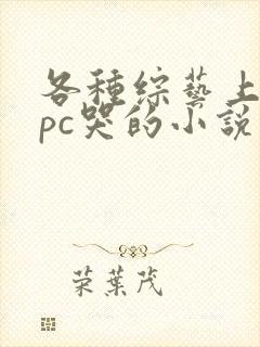 各种综艺上被npc哭的小说免费阅读