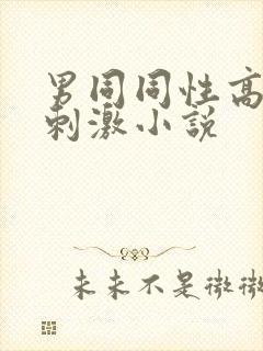 男同同性高h超刺激小说