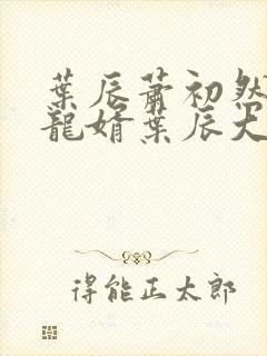 叶辰萧初然上门龙婿叶辰大结局