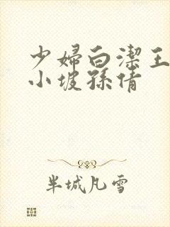 少妇白洁王申高小坡孙倩