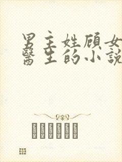 男主姓顾女主是医生的小说