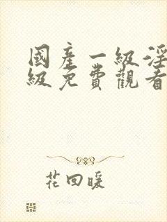 国产一级淫片a级免费观看