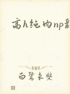 高h纯肉np乱