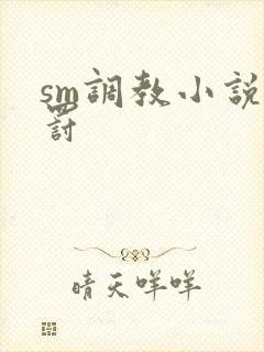sm调教小说惩罚封面