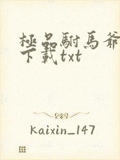 极品驸马爷免费下载txt