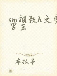sm调教h文双男主