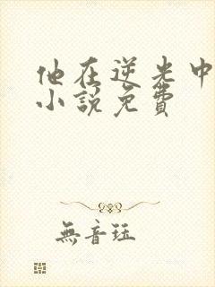 他在逆光中告白小说免费