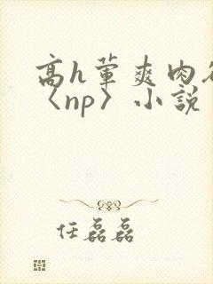 高h荤爽肉欲文〈np〉小说