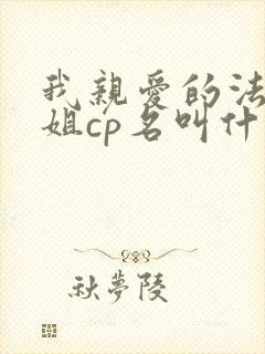 我亲爱的法医小姐cp名叫什么