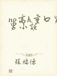 np高h重口男男小说