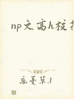 np文高h校花