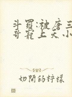 斗罗:被唐三哥哥宠上天小说