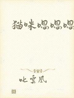 猫咪嗯嗯嗯的叫封面