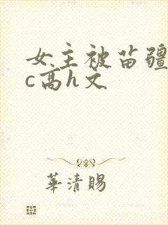 女主被苗疆男主c高h文