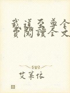 武道至尊全文免费阅读全文
