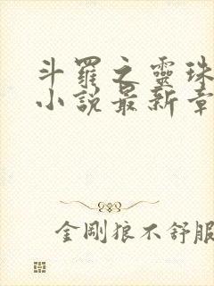 斗罗之灵珠神剑小说最新章下载