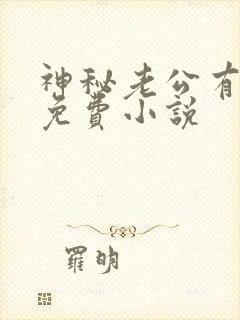 神秘老公有点坏免费小说封面