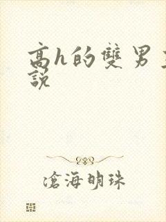 高h的双男主小说