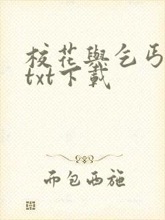 校花与乞丐小说txt下载