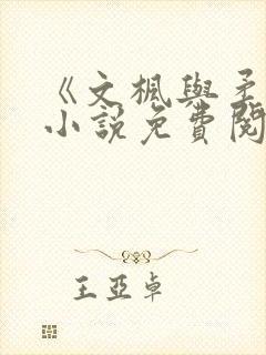 《文枫与柔佳》小说免费阅读