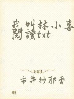 我叫林小喜免费阅读txt