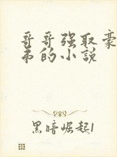 哥哥强取豪夺弟弟的小说