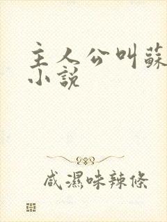 主人公叫苏言的小说封面