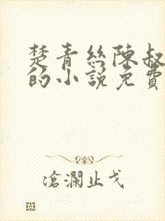 楚青丝陈叔薛冰的小说免费阅读封面
