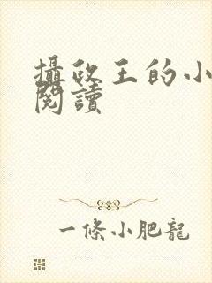 摄政王的小闲妻阅读封面