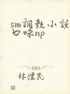 sm调教小说重口味np