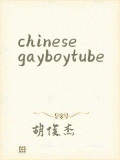 chinesegayboytube