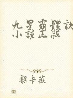 九星霸体诀龙尘小说正版