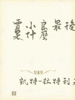 贾小良最后结局是什么