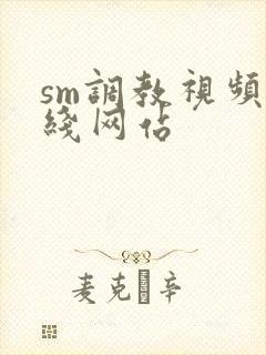 sm调教视频在线网站封面