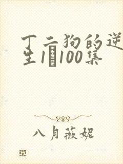 丁二狗的逆袭人生1–100集